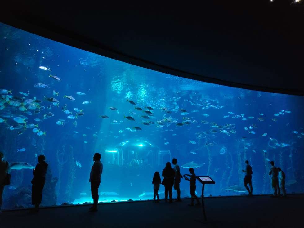 Uno de los espacios del Aquarium Poema del Mar.
