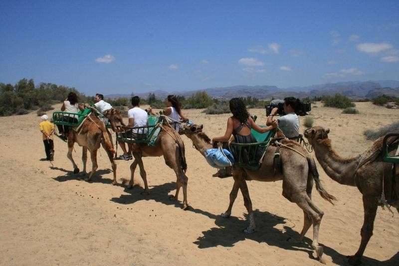 Paseo en camello por las Dunas de Maspalomas.