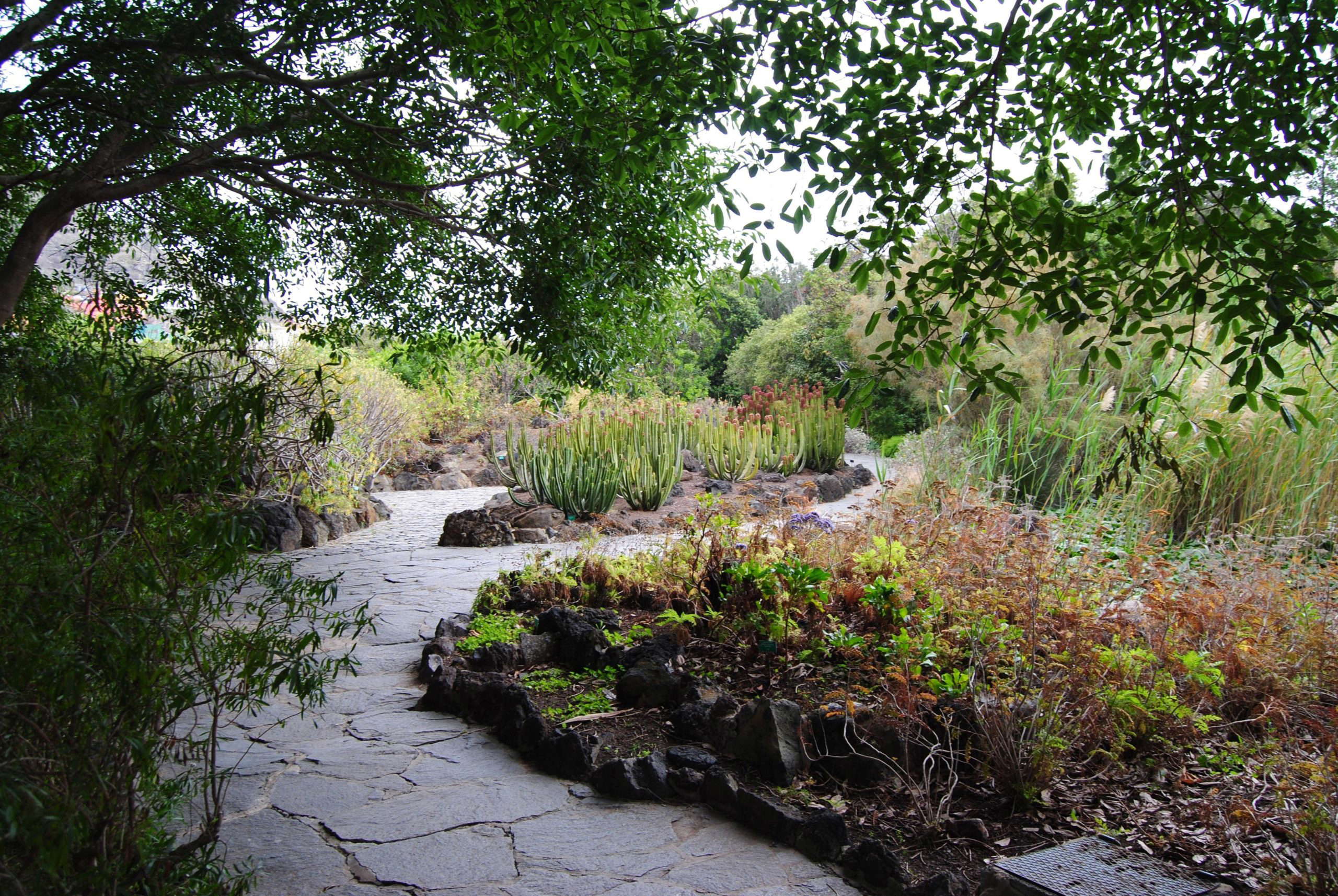 jardin botanico viera clavijo gran canaria