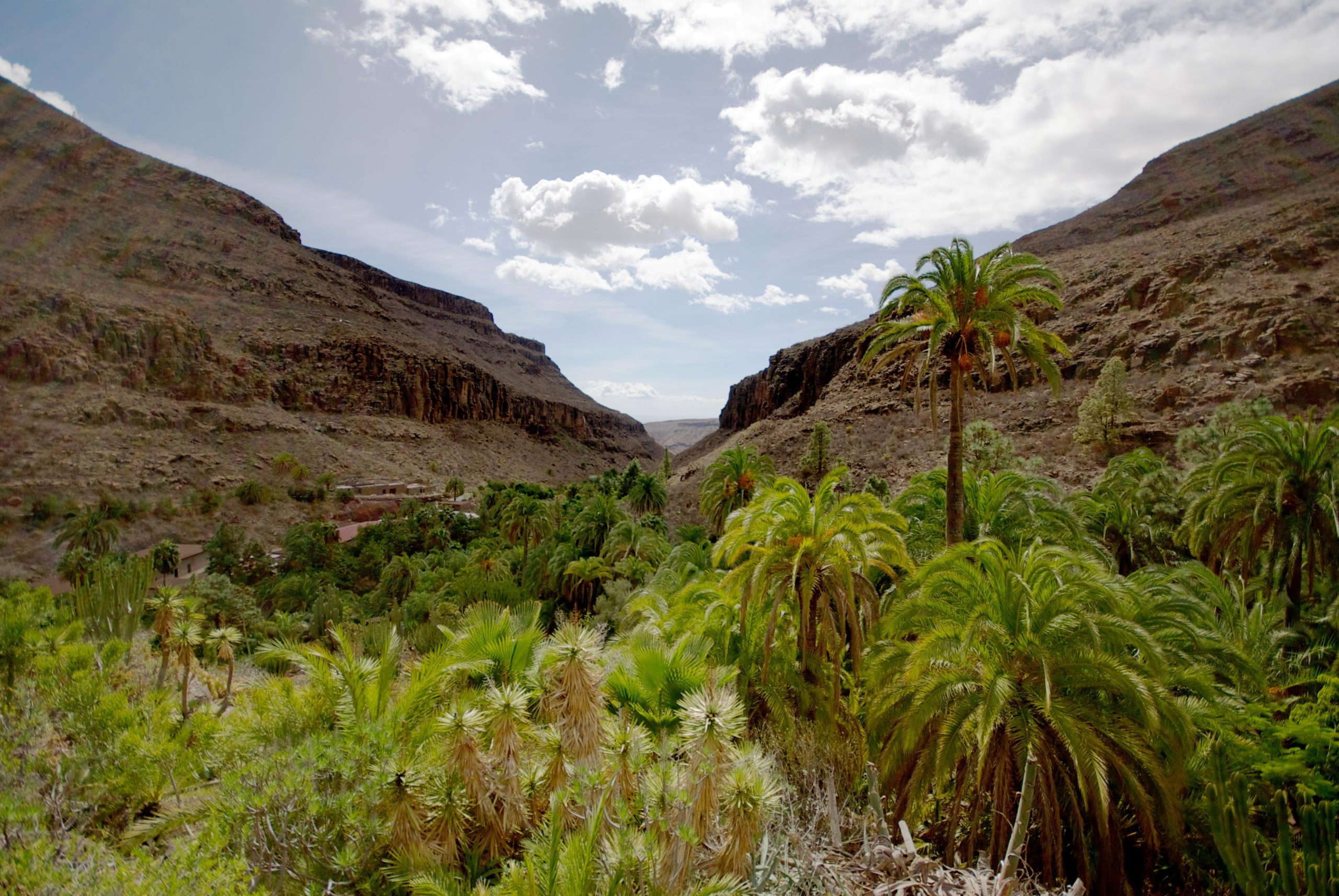 palmitos park gran canaria